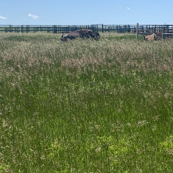 Blue Mounds State Park - Parks Near Me - Luverne, Minnesota