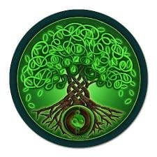 KinQuest Genealogy Services