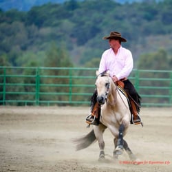 Reining By The Bay