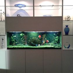 Elite Pond and Aquarium Service