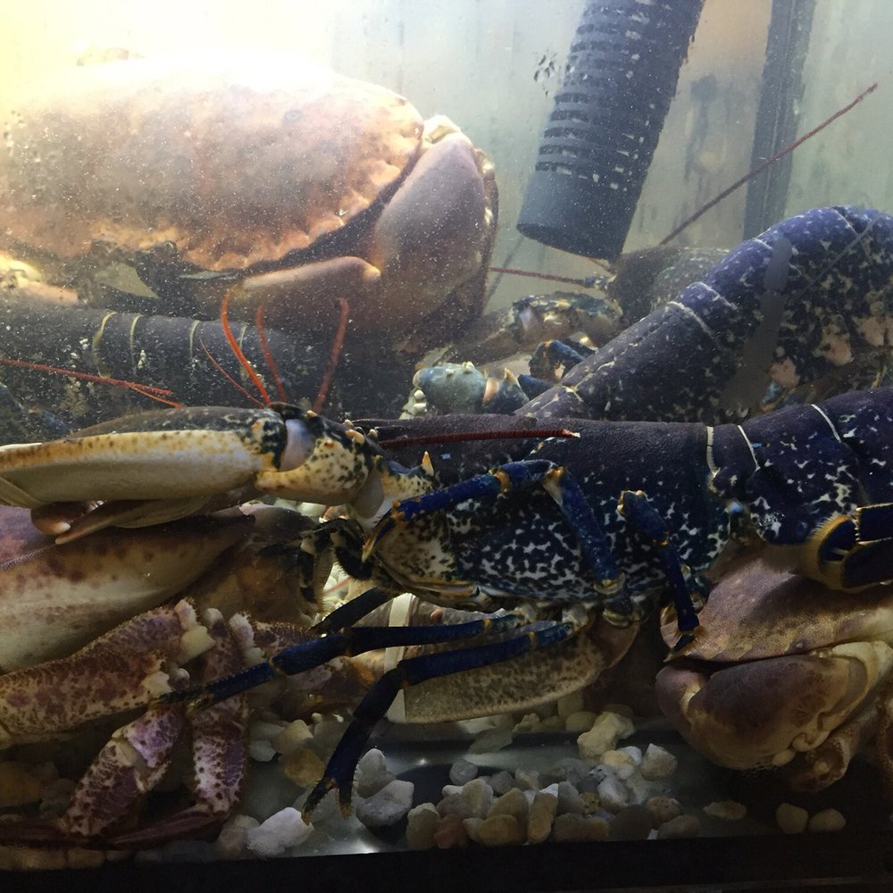Cais ao Mar - Seafood Near Me - Lisbon, 11 Cais ao Mar - Seafood Near Me - Lisbon, 11