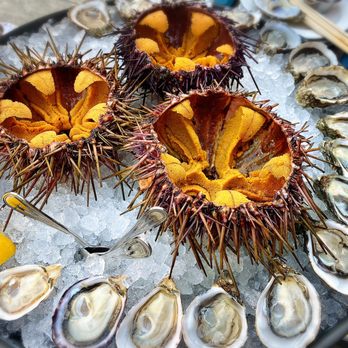 Taylor Shellfish Farms - Fresh uni + oysters - Seafood Near Me - Seattle, Washington Taylor Shellfish Farms - Fresh uni + oysters - Seafood Near Me - Seattle, Washington