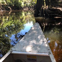 Alafia River Canoe Rentals - On the river in the canoe