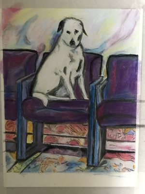 Farmhouse Veterinary Hospital 7602 Steilacoom Rd Se Lacey Wa Veterinarians Mapquest