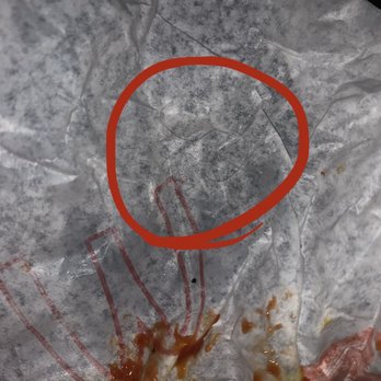 McDonald's - Luckily I saw the hair before I ate any of it. - Fast Food Near Me - Elkins, West Virginia