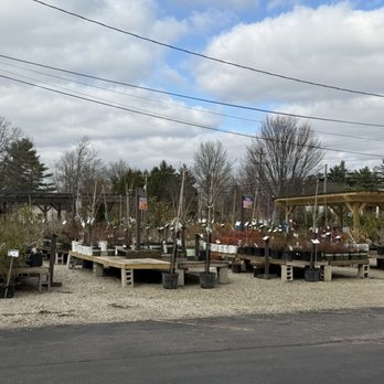 Denny McKeown's Bloomin Garden Centre - Shrubs and trees - Nurseries & Gardening Near Me - Cincinnati, Ohio