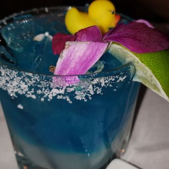 Papillon - Blue Paradise - French Near Me - Fremont, California Papillon - Blue Paradise - French Near Me - Fremont, California