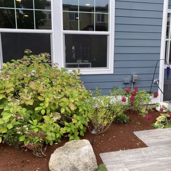 Sauz Landscaping - Back after - Lawn Services Near Me