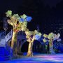 Photo of Shakespeare In the Park