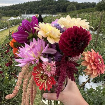 Ferjulian's Farm Stand - Fruits & Veggies Near Me - Hudson, Massachusetts