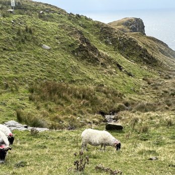 Slieve League - Landmarks & Historical Buildings Near Me - Carrick, DL