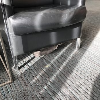 Salon Feuille d'Érable - Airport Lounges Near Me - Dorval, Quebec
