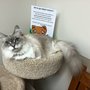 Photo of Clairmont Animal Hospital