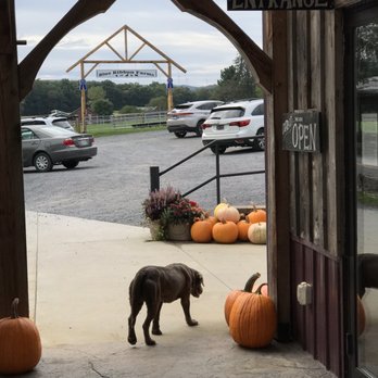 Heidi's Bakery & Cafe - Veiw from breakfast patio.. - Bakeries Near Me - Oakland, Maryland