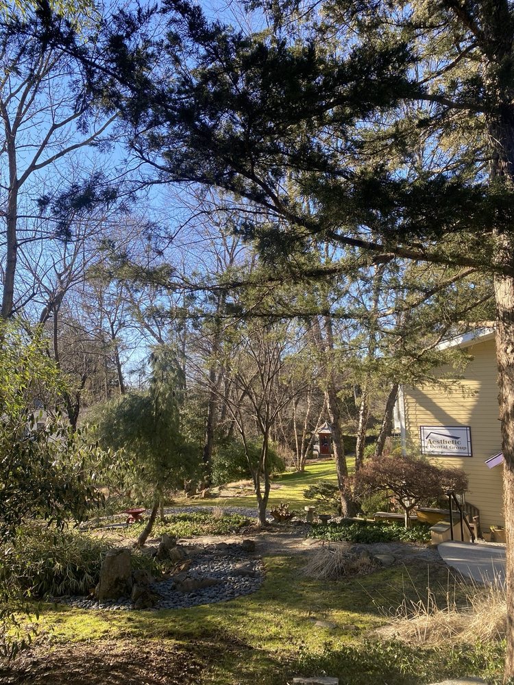 Photos of AESTHETIC DENTAL GROUP Updated August 2024 11 Photos