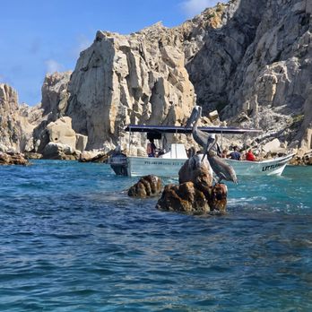 Ambassador Tours - Travel Services Near Me Ambassador Tours - Travel Services Near Me