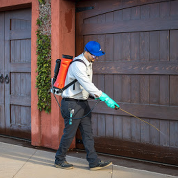 Simple Pest Management - We treat the foundation of your home to help keep the bugs out. - Pest Control Near Me - Santee, California