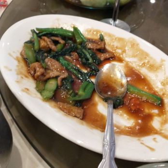 Jasmine Asian Cuisine - Beef broccoli - Chinese Near Me - Houston, Texas Jasmine Asian Cuisine - Beef broccoli - Chinese Near Me - Houston, Texas