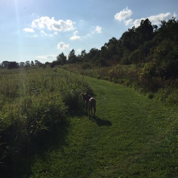 Prairie Moraine Dane County Parks - Dog Parks Near Me - Verona, Wisconsin Prairie Moraine Dane County Parks - Dog Parks Near Me - Verona, Wisconsin