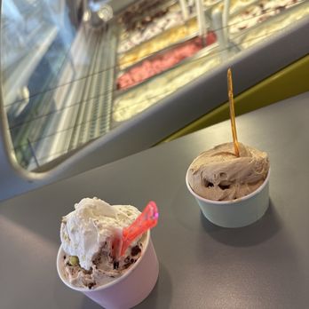 Sorella Gelateria - Gelato Near Me - Lexington, Kentucky Sorella Gelateria - Gelato Near Me - Lexington, Kentucky