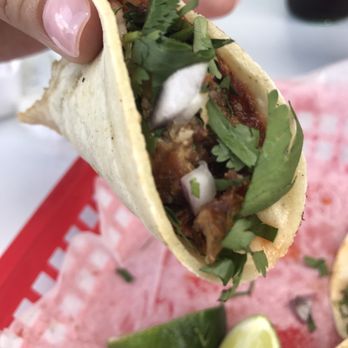 Taco de Oro - Mexican Near Me - Tampa, Florida Taco de Oro - Mexican Near Me - Tampa, Florida