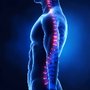 Photo of Community Chiropractic of Lafayette