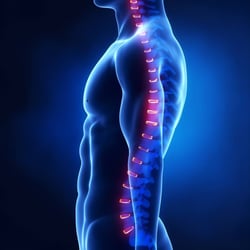 Community Chiropractic of Lafayette