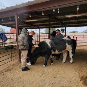 Happy Hooves - Attraction Farms Near Me - Phoenix, Arizona