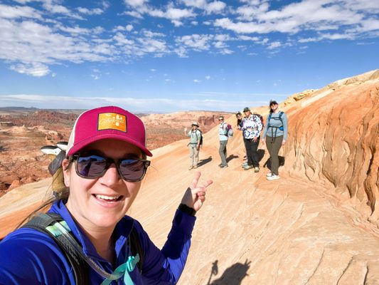 Dreamland Safari Tours by null