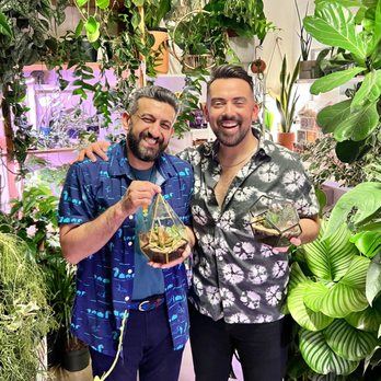 Plant Party - Florists Near Me - Austin, Texas