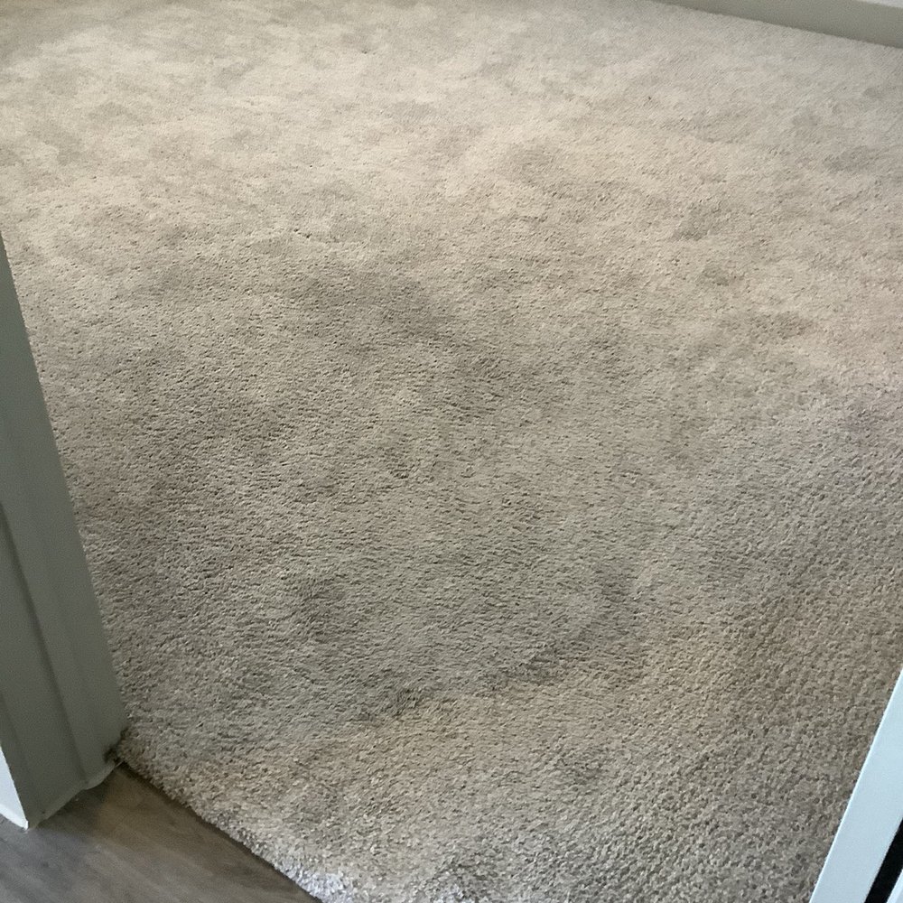Two99 Monroe - Carpeting stained, worn, very dirty - Apartments Near Me - Roanoke, Texas