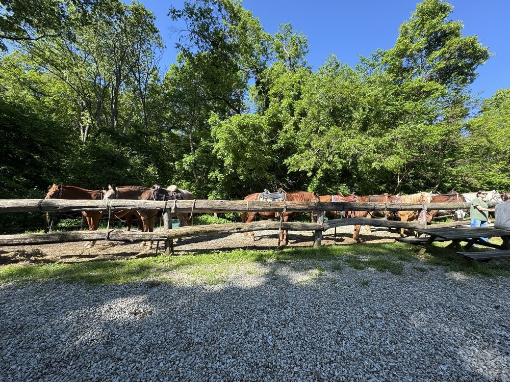 Grandpa Jeff's Trail Rides - equestrian in Morgantown, IN