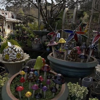 The Garden Shed - Glass mushrooms - Nurseries & Gardening Near Me - Cambria, California The Garden Shed - Glass mushrooms - Nurseries & Gardening Near Me - Cambria, California