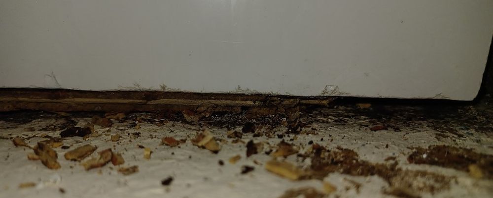 Slide of Randy's Plumbing