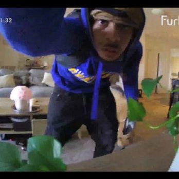 Optima Sonoran Village - Robbery at optima. Photo taken from resident pet camera - Apartments Near Me - Scottsdale, Arizona Optima Sonoran Village - Robbery at optima. Photo taken from resident pet camera - Apartments Near Me - Scottsdale, Arizona