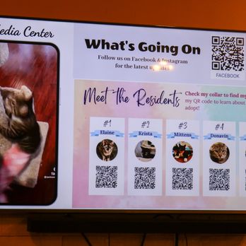 Catpurrccinos - Themed Cafes Near Me - Huntington, New York Catpurrccinos - Themed Cafes Near Me - Huntington, New York