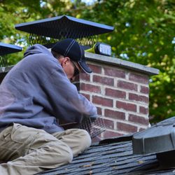 Complete Pest Solutions - Setting a one-way door for squirrel removal