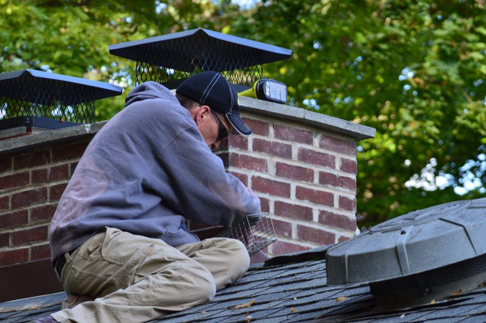 COMPLETE PEST SOLUTIONS Updated August 2024 43 Roche Way