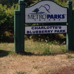 Blueberry Park! Blueberry Park!