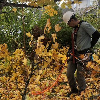Lawn Heroes - a man in a hard hat working in the leaves - Landscaping Near Me - Grants Pass, Oregon