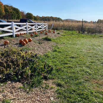 Brookhollow's Barnyard - Pumpkin Patches Near Me - Boonton, New Jersey