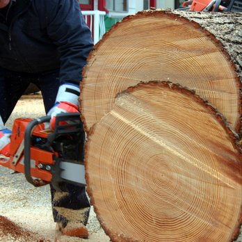 Sandoval Tree Services - Tree Services Near Me - Indianapolis, Indiana Sandoval Tree Services - Tree Services Near Me - Indianapolis, Indiana