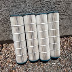 Shawn's Pool Shop - Cartridge filter clean after photo.