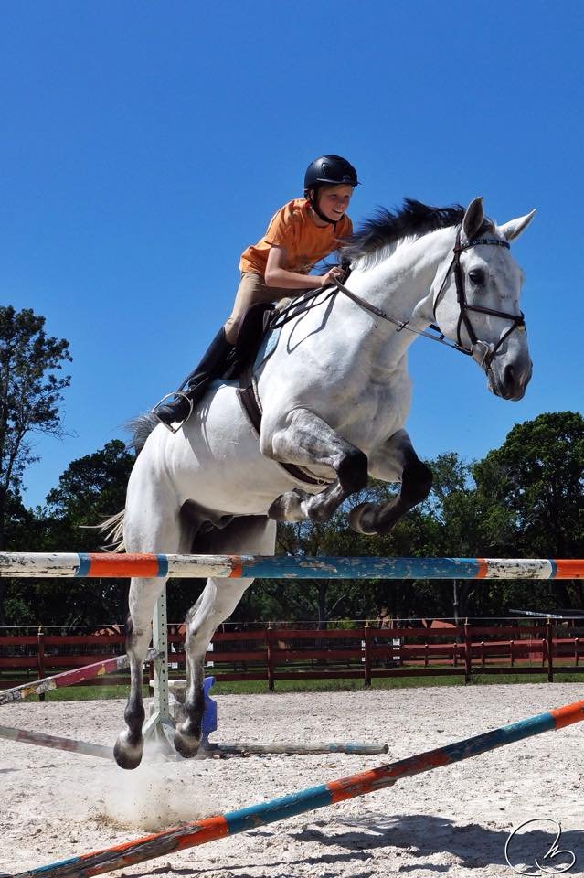 Seacrest Show Stables - equestrian in Mooresboro, NC