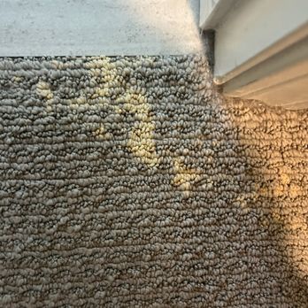 Langenwalter Carpet Dyeing - Carpet Cleaning Near Me - Anaheim, California Langenwalter Carpet Dyeing - Carpet Cleaning Near Me - Anaheim, California