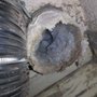 Photo of David's Dryer Vent Cleaning Service