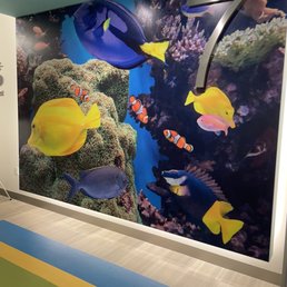 Wall Wall