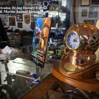 Marine Animal Rescue - Jon Council has amassed one of the most diverse collections of dive gear in the country; rich in history & the early pioneers of diving. - Community Service/Non-Profit Near Me
