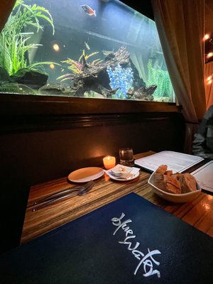 Blue Water Grille by null