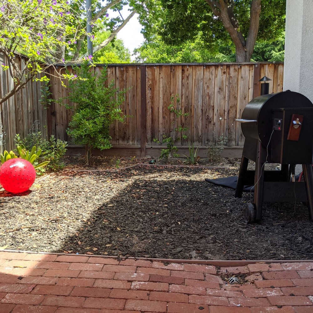 Caliarbor - Before - Tree Services Near Me Caliarbor - Before - Tree Services Near Me